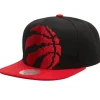 Mitchell & Ness Snapback-8 Bit Xl Snapback Hwc Toronto Raptors