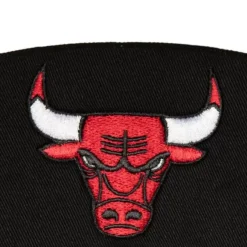Mitchell & Ness Snapback-2013 Draft Snapback Hwc Chicago Bulls