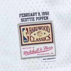 Mitchell & Ness Big Kids-All Star Game Swingman Scottie Pippen All Star Jersey