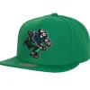 Mitchell & Ness Snapback-Alternate Flip Snapback Vancouver Canucks