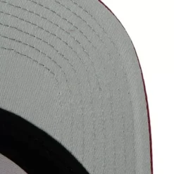 Mitchell & Ness Snapback-Asg 22 Snapback Hwc All Star