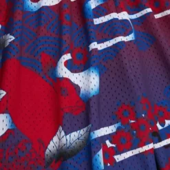 Mitchell & Ness Shorts-Asian Heritage Swingman Philadelphia 76Ers 1998 Shorts 5.0