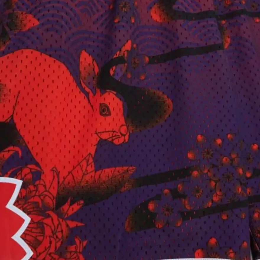 Mitchell & Ness Shorts-Asian Heritage Swingman Phoenix Suns 1991 Shorts 5.0