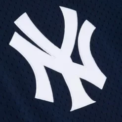 Mitchell & Ness Mlb Authentic-Authentic Bernie Williams New York Yankees 1995 Pullover Jersey