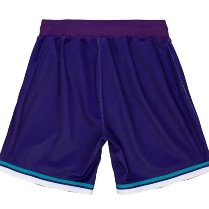 Mitchell & Ness Shorts-Authentic Charlotte Hornets Alternate 1994-95 Shorts