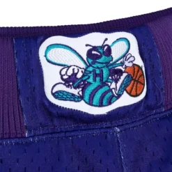 Mitchell & Ness Shorts-Authentic Charlotte Hornets Alternate 1994-95 Shorts