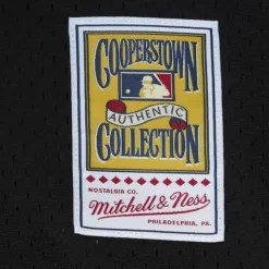 Mitchell & Ness Mlb Authentic-Authentic Craig Biggio Houston Astros 2002 Bp Jersey