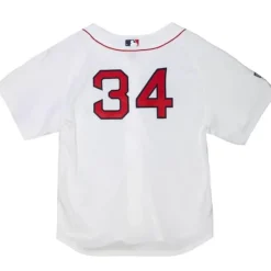 Mitchell & Ness Mlb Authentic-Authentic David Ortiz Boston Red Sox 2004 Jersey