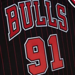 Mitchell & Ness Nba Authentic-Authentic Dennis Rodman Chicago Bulls 1995-96 Jersey
