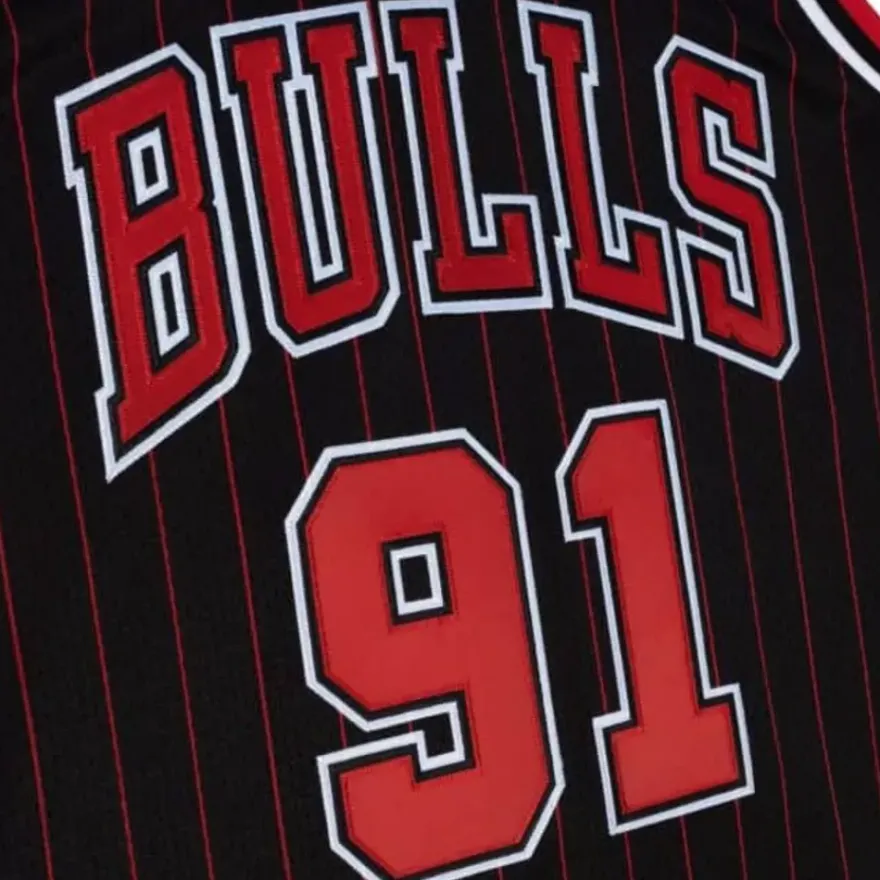 Mitchell & Ness Nba Authentic-Authentic Dennis Rodman Chicago Bulls 1995-96 Jersey