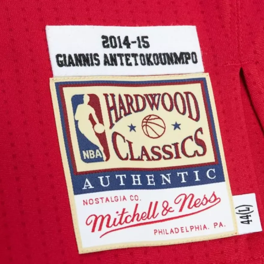 Mitchell & Ness Nba Authentic-Authentic Giannis Antetokounmpo Milwaukee Bucks Home 2014-15 Jersey