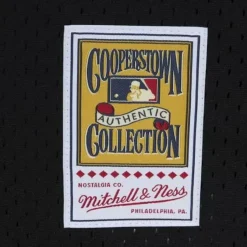 Mitchell & Ness Mlb Authentic-Authentic Jeff Bagwell Houston Astros 2002 Bp Jersey