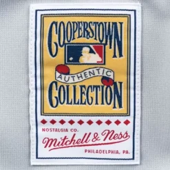 Mitchell & Ness Mlb Authentic-Authentic Jersey Atlanta Braves Road 1999 Chipper Jones