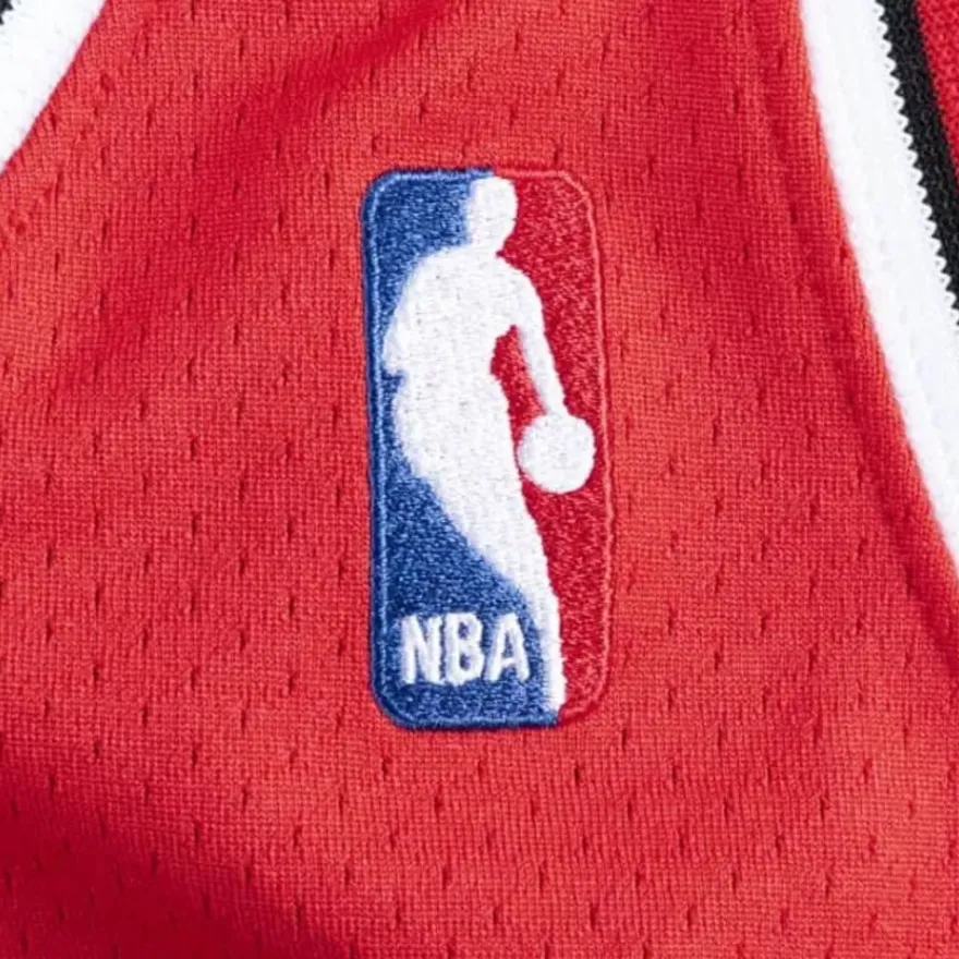 Mitchell & Ness Nba Authentic-Authentic Jersey Chicago Bulls Road Finals 1995-96 Michael Jordan
