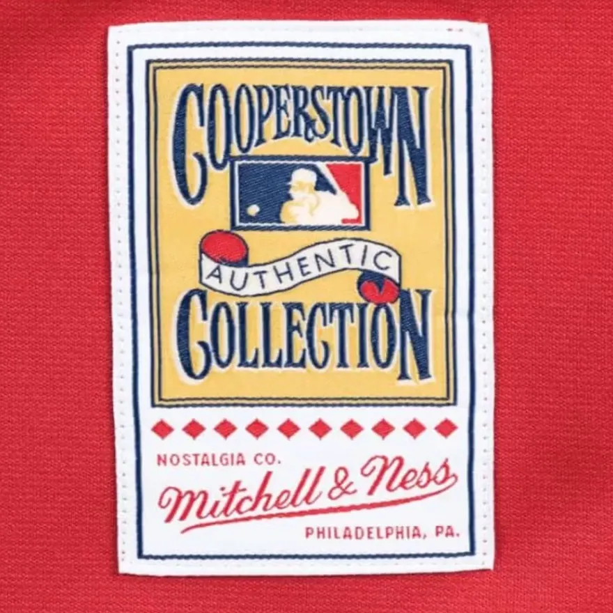 Mitchell & Ness Mlb Authentic-Authentic Jersey Cincinnati Reds Alternate 2005 Ken Griffey Jr.