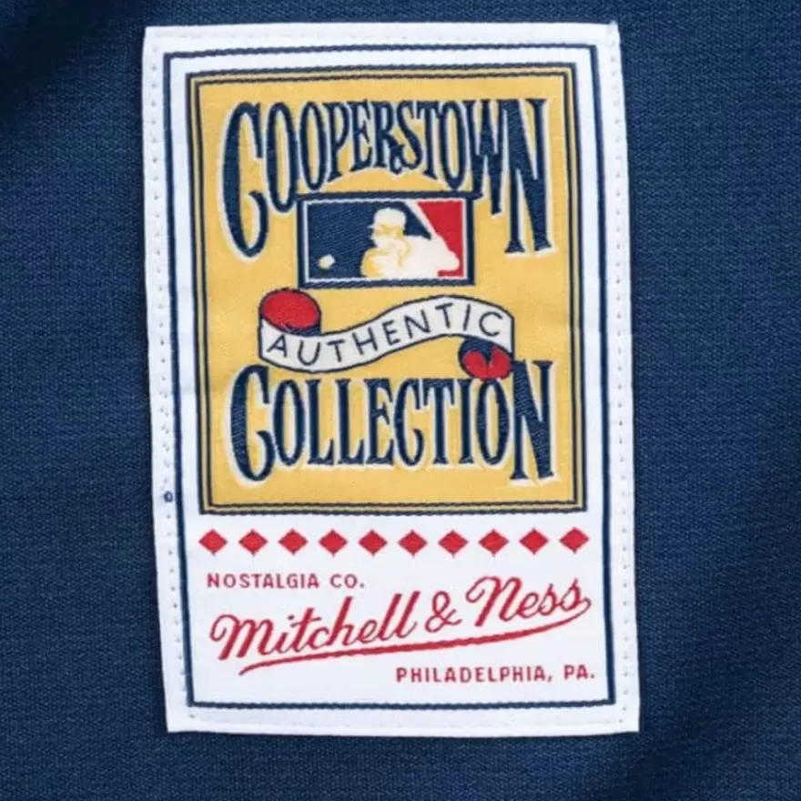 Mitchell & Ness Mlb Authentic-Authentic Jersey Houston Astros Alternate 1994 Craig Biggio