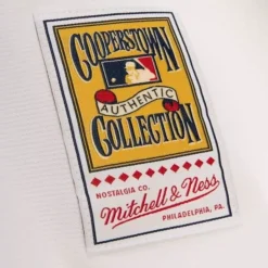 Mitchell & Ness Mlb Authentic-Authentic Jersey Los Angeles Dodgers Home 1993 Mike Piazza