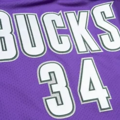 Mitchell & Ness Nba Authentic-Authentic Jersey Milwaukee Bucks 2000-01 Ray Allen