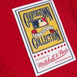 Mitchell & Ness Mlb Authentic-Authentic Johnny Bench Cincinnati Reds 1983 Pullover Jersey