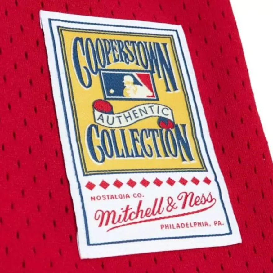 Mitchell & Ness Mlb Authentic-Authentic Mark Mcgwire St. Louis Cardinals 1998 Bp Jersey