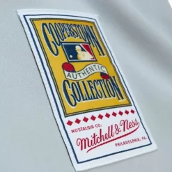 Mitchell & Ness Mlb Authentic-Authentic Pete Rose Cincinnati Reds Road 1975 Jersey