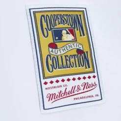 Mitchell & Ness Mlb Authentic-Authentic Roberto Clemente Pittsburgh Pirates Home 1971 Jersey