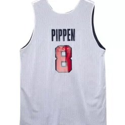 Mitchell & Ness Nba Authentic-Authentic Scottie Pippen Team Usa Mens 1996-97 Jersey