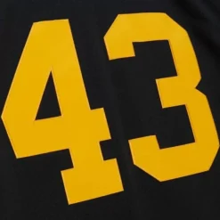 Mitchell & Ness Nfl Authentic-Authentic Troy Polamalu Pittsburgh Steelers Alternate 2008 Jersey