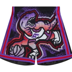 Mitchell & Ness Shorts-Big Face 7.0 Fashion Shorts Toronto Raptors