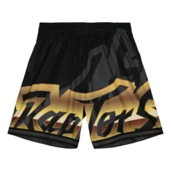 Mitchell & Ness Shorts-Big Face 4.0 Fashion Shorts Toronto Raptors