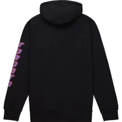 Mitchell & Ness Hoodies & Sweatshirts-Big Face 7.0 Hoodie Toronto Raptors