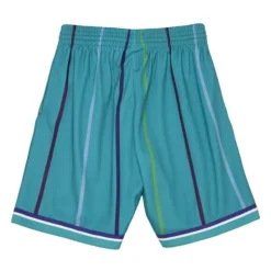 Mitchell & Ness Shorts-Big Face 2.0 Shorts Charlotte Hornets