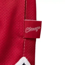 Mitchell & Ness Shorts-Big Face 2.0 Shorts Chicago Bulls