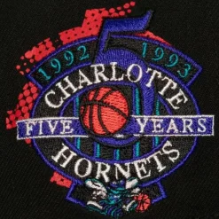 Mitchell & Ness Snapback-Big Face 7.0 Snapback Hwc Charlotte Hornets