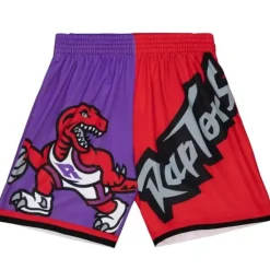 Mitchell & Ness Shorts-Big Face Fashion Shorts 5.0 Toronto Raptors