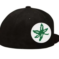 Mitchell & Ness Fitted-Bigback Fitted Hat Ohio State