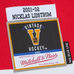 Mitchell & Ness Nhl Blue Line-Blue Line Nicklas Lidstrom Detroit Red Wings Dark 2001 Jersey