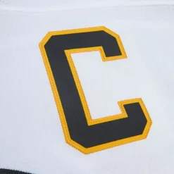 Mitchell & Ness Nhl Blue Line-Blue Line Ray Bourque Boston Bruins White 1989 Jersey