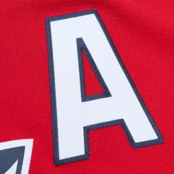 Mitchell & Ness Nhl Blue Line-Blue Line Scott Mellanby Florida Panthers Dark 1995 Jersey