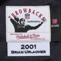 Mitchell & Ness Nfl Authentic-Brian Urlacher 2001 Authentic Jersey Chicago Bears