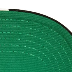 Mitchell & Ness Snapback-Brushed Past Ya Pro Snapback Hwc Chicago Bulls