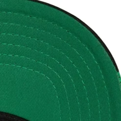 Mitchell & Ness Snapback-Brushed Past Ya Pro Snapback Philadelphia Eagles