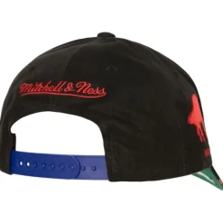 Mitchell & Ness Snapback-Brushed Past Ya Pro Snapback Buffalo Bills