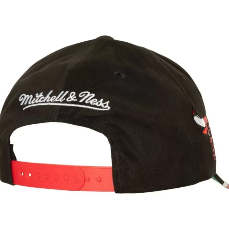 Mitchell & Ness Snapback-Brushed Past Ya Pro Snapback Chicago Bulls