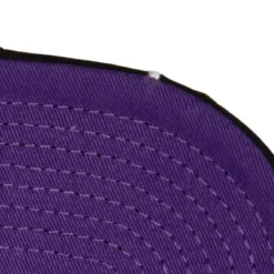 Mitchell & Ness Snapback-Burst Deadstock Snapback Hwc Toronto Raptors