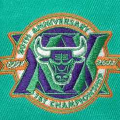 Mitchell & Ness Fitted-Cactus Cooler Fitted Hat Chicago Bulls