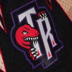 Mitchell & Ness Shorts-Camo Reflective Swingman Toronto Raptors 1998 Shorts