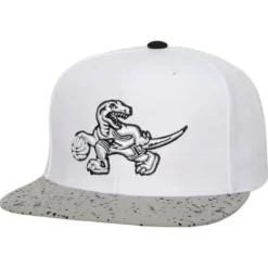 Mitchell & Ness Snapback-Cement Top Snapback Hwc Toronto Raptors