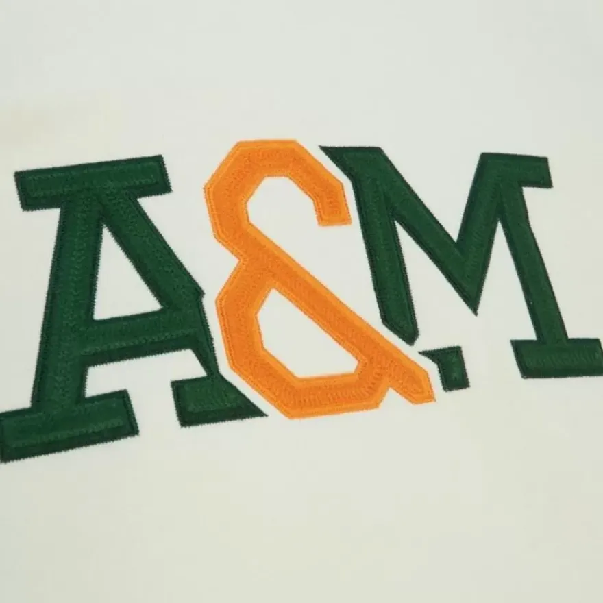 Mitchell & Ness Hoodies & Sweatshirts-Chainstitch Heavyweight Hoodie Current Florida A&M University