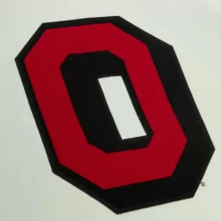 Mitchell & Ness Hoodies & Sweatshirts-Chainstitch Heavyweight Hoodie Retro Ohio State
